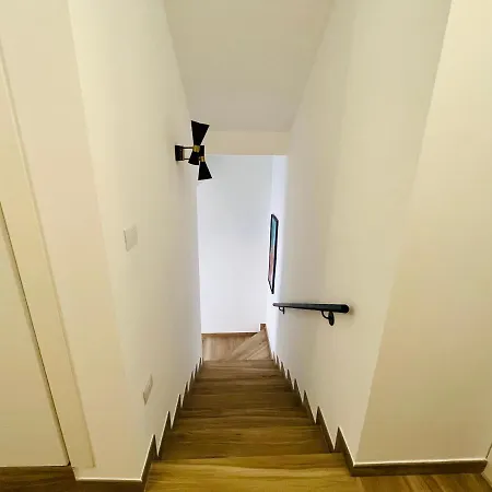 Mavi