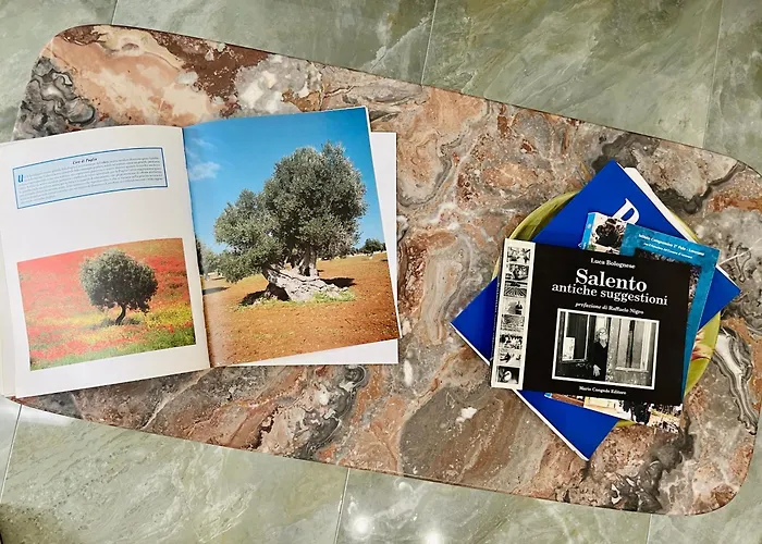 Mavi Casa de Férias *